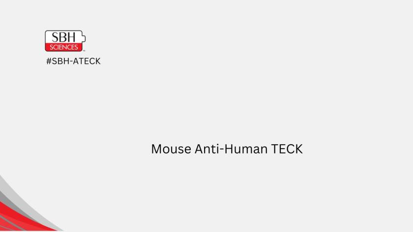 Mouse Anti-Human TECK