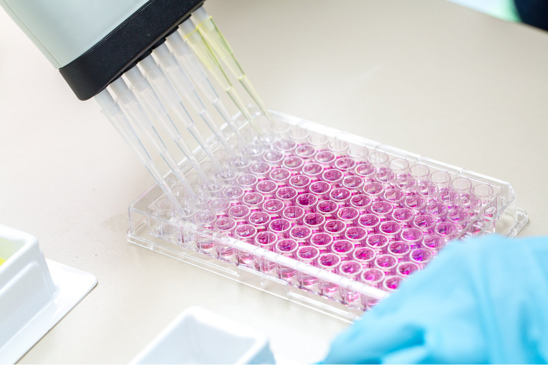 pipette with multichannel panel for cytotoxicity assays, CRO